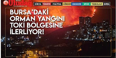 Bursa’daki orman yangını TOKİ bölgesine ilerliyor