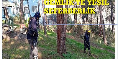 GEMLİK'TE YEŞİL SEFERBERLİK