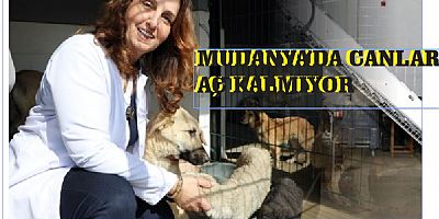 MUDANYA’DA CAN DOSTLAR AÇ KALMIYOR