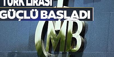 Türk Lirası'ndan yeni yılda güçlü başlangıç! Döviz kurlarına karşı değeri reel olarak yükseldi