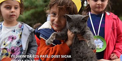 YILDIRIM’DA 625 PATİLİ DOST SICAK YUVAYA KAVUŞTU
